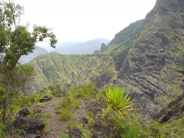 Parties dégagées sans végétation