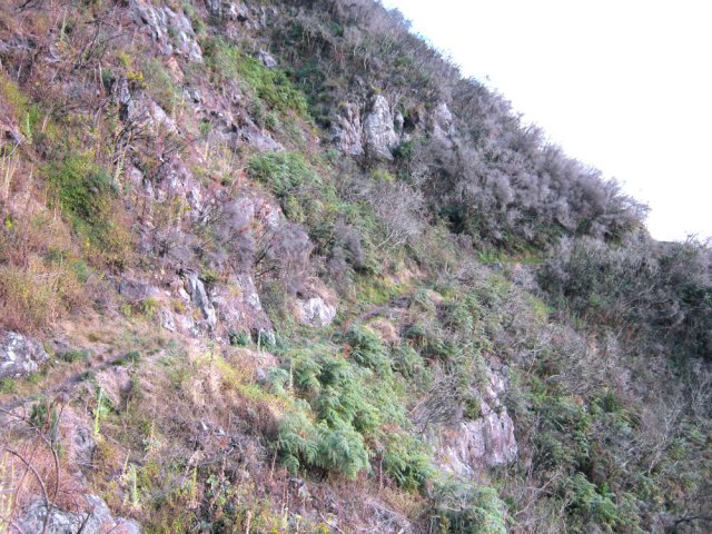 Le sentier est assez plat au début de la descente du Maïdo