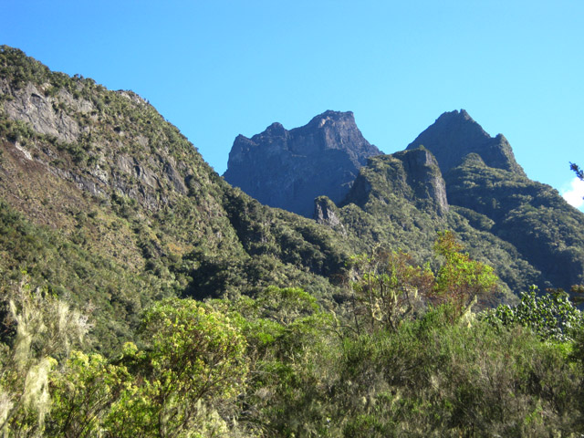 Belle montée jusqu'au départ de la crête (petit piton au centre)