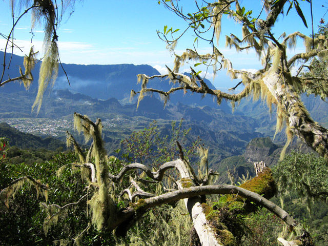 Beaux panoramas à travers les barbes de Jupiter