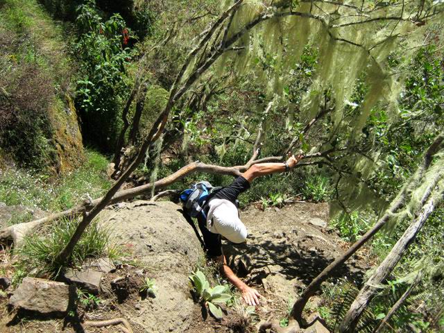 Le sentier très abrupt pour accéder à l'arête