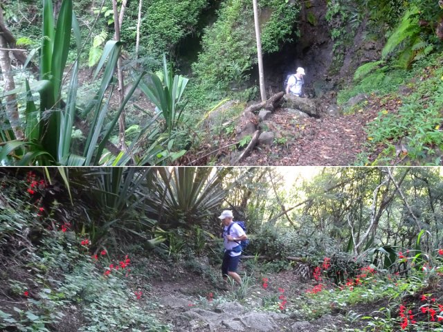 Montée régulière dans les chocas ou gouttes de sang
