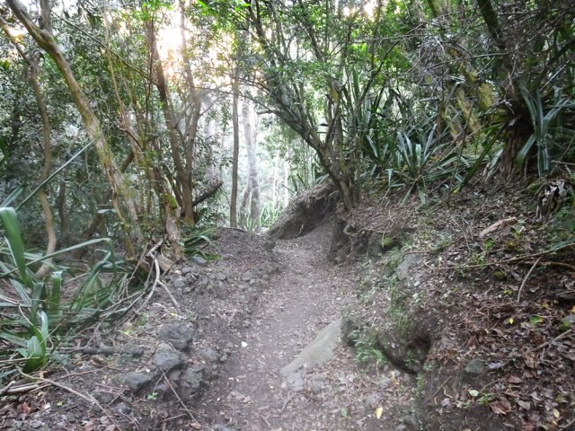 Après le sentier de la Chapelle, le sentier très fréquenté est en très bon état