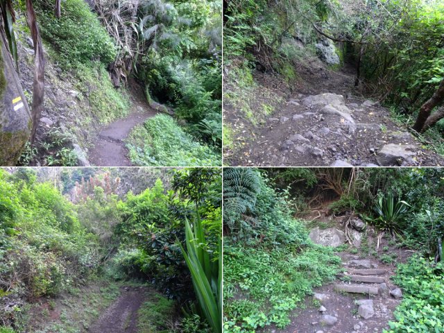 La fin de la montée est facile et variée