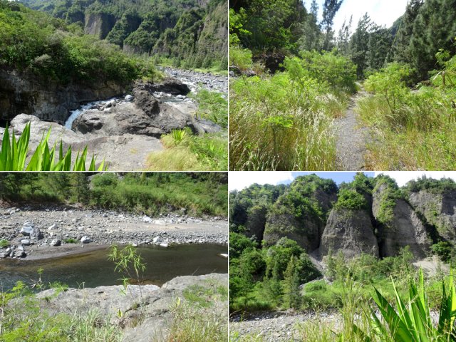 Agréable remontée entre la cascade et Trois Bras en longeant le torrent