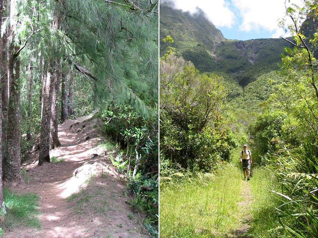 Deux portions plates du sentier, sous les filaos et à Grand Pays