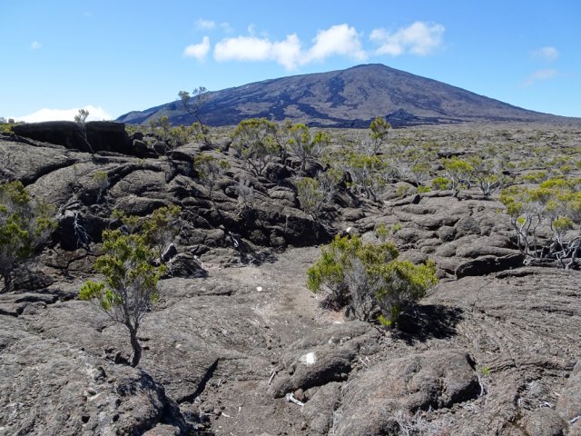 Suivre sans réfléchir les traces blanches au sol