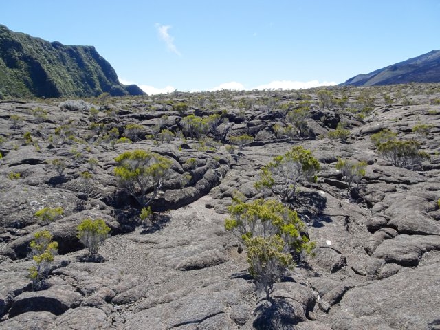On peut marcher hors sentier sans danger