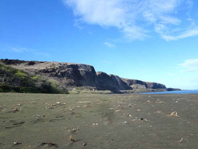 La marche n'est pas toujours facile sur le sable surchauffé