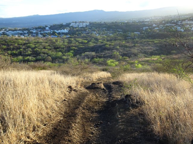 Le large sentier descendant vers la Ravine Fleurimont