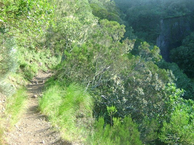Une agréable portion de sentier dans la remontée