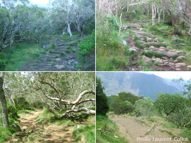 Quelques portions de sentier jusqu'à la Nouvelle