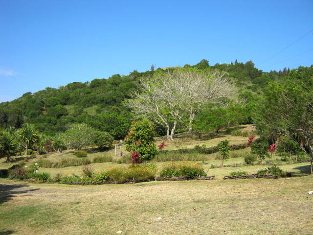L'aire fleurie autour du parking