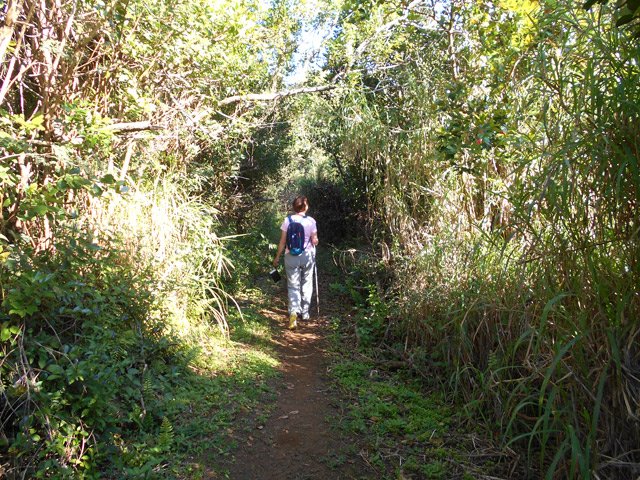 Sentier très propre pour rejoindre le château d'eau