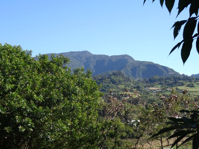 Panorama sur le Piton du Rond vers les Margosiers