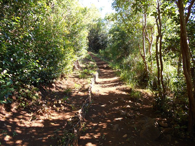 Une autre partie de la descente avant le croisement
