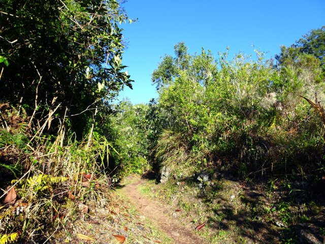 Sentier agréable sous les bois de couleurs