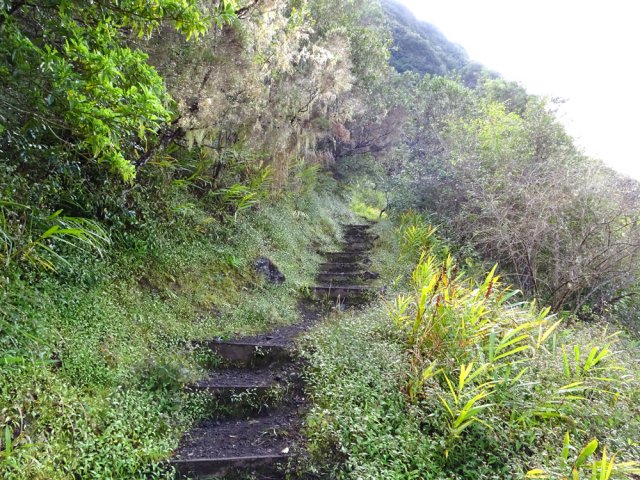 Début de la montée vers le plateau