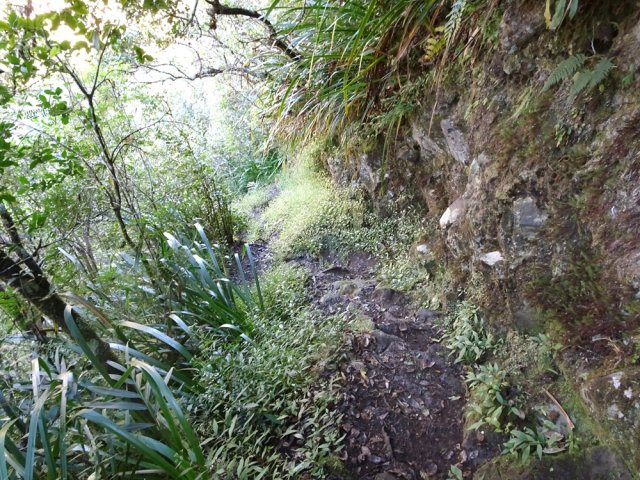Le sentier est le plus souvent étroit