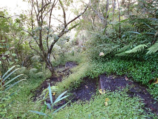 Nombreux raides et courts lacets dans les jouvences