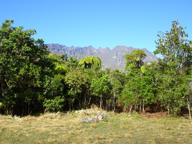 La clairière près du belvédère principal