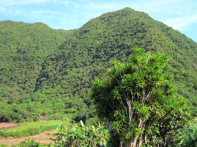 Les cultures s'étalent jusqu'au pied du rempart