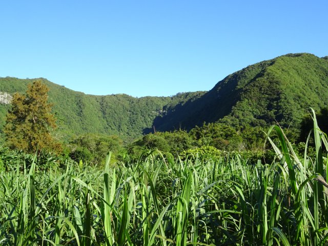 Panorama sur la cascade Mottet au-dessus des cannes