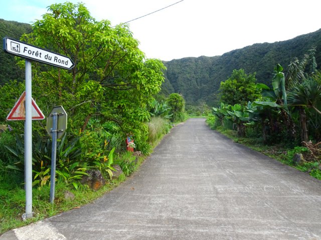 Prendre à droite la route vers la forêt