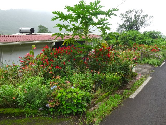 Toujours des cases fleuries dans ce village isolé
