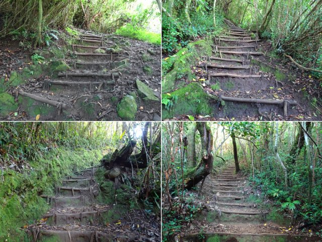 Heureusement, de belles marches pour une ascension sportive