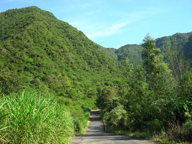 Dans les vergers, la piste bétonnée qui mène au Rond