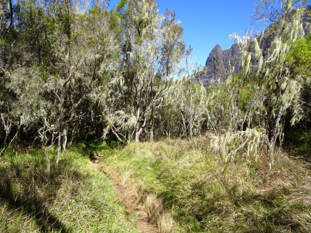 On devine le Grand Bénare en se retournant