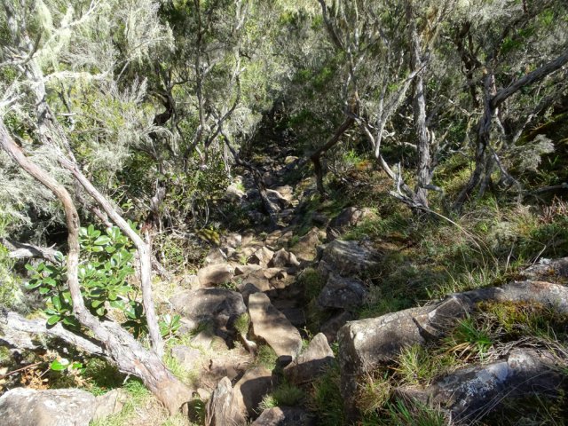 Nouvelle montée sur un pierrier dans les branles