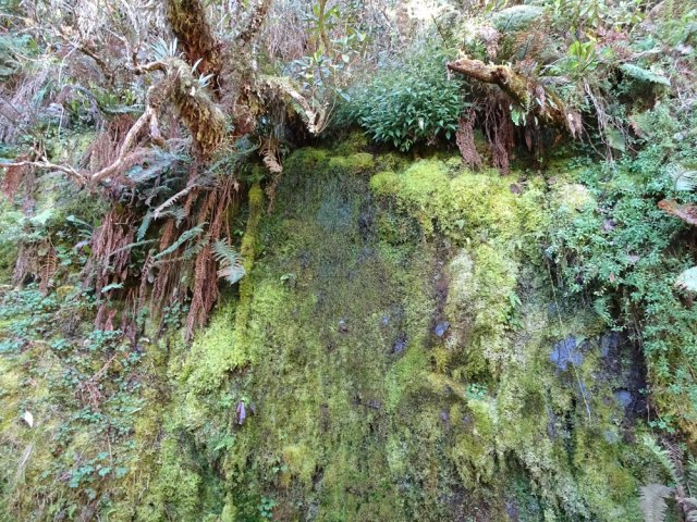 La Source Cap Bouteille ne coule pas toujours à plein régime