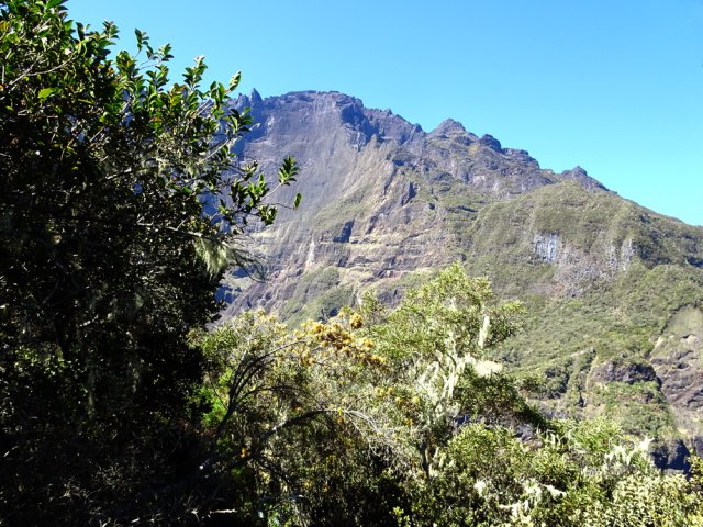 La végétation ne permet plus de larges points de vue