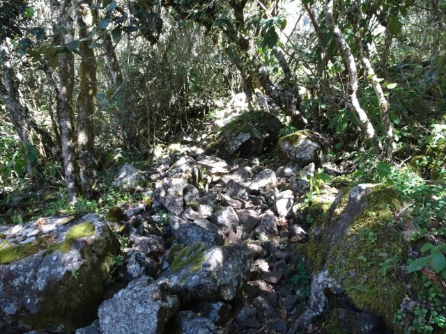 Une bonne partie de la montée s'effectue sur un sentier pierreux
