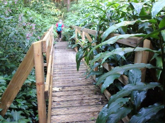 Franchissement de la Ravine des Trois Cascades