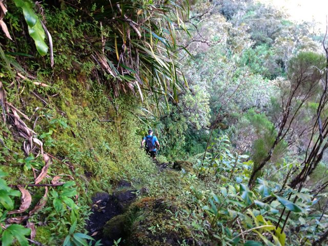 La remontée est en général plus difficile