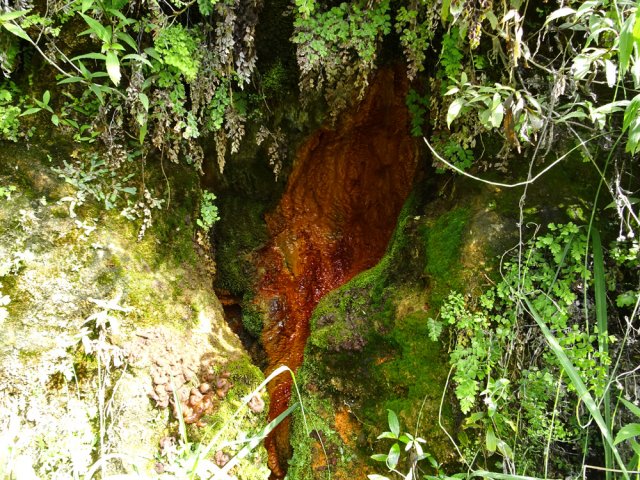 La dernière source d'eau tiède ferrugineuse encore intacte
