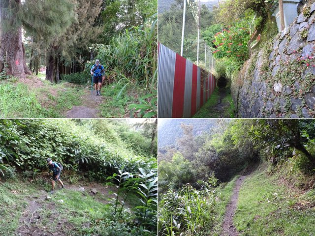 Portions du sentier du Gymnase et début du sentier du Cap Anglais