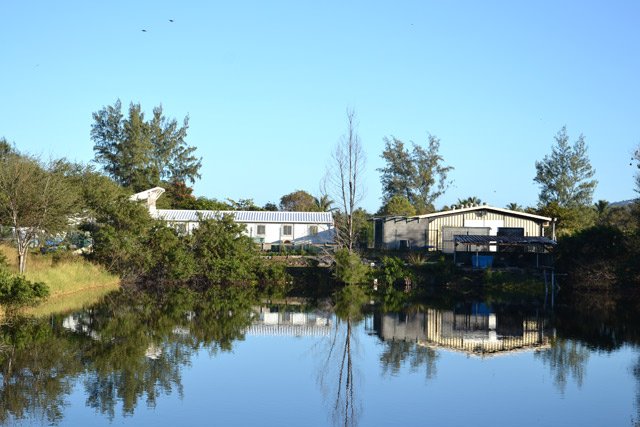On frôle les grillages de la pisciculture