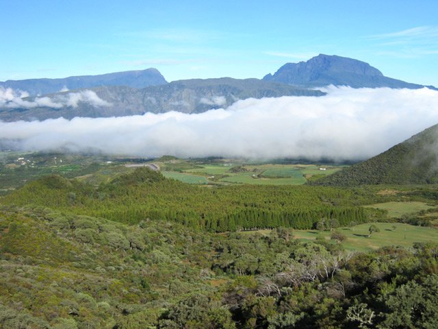 Le Piton Rouge et sa forêt de cryptomerias devant les classiques panoramas de la Réunion