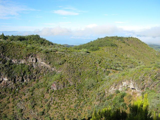Une bonne idée du fond du maar et de la végétation qui l'a colonisé