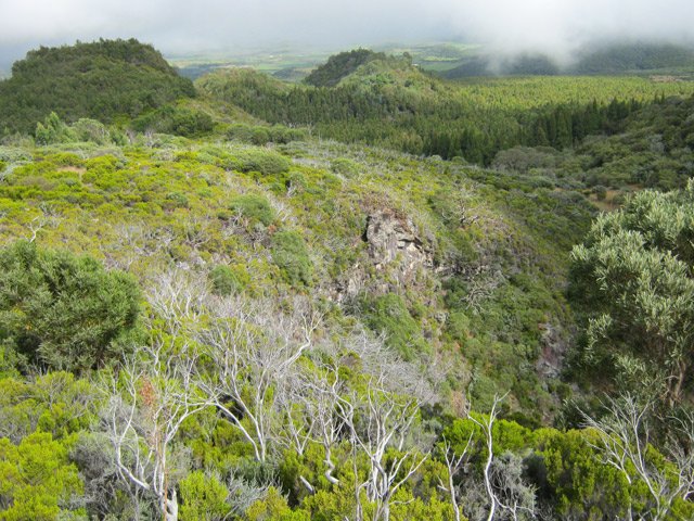 Une autre vue du fond du grand trou