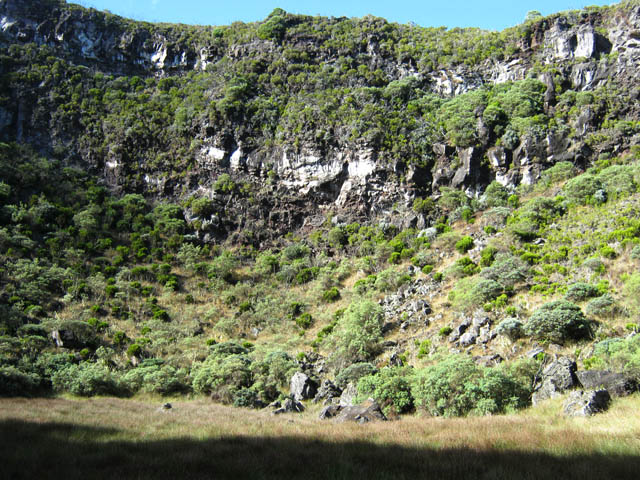 Grand Trou, vu depuis le fond, dans les joncs