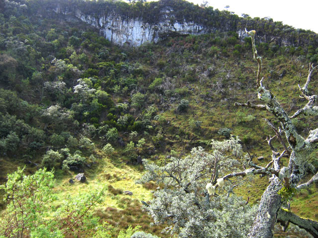 Le fond de Trou Blanc depuis la prairie