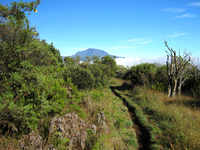 Une idée du très beau sentier
