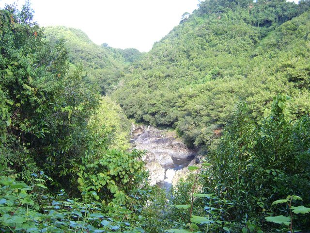 Le sentier domine le plus souvent la rivière mais des sentiers y descendent