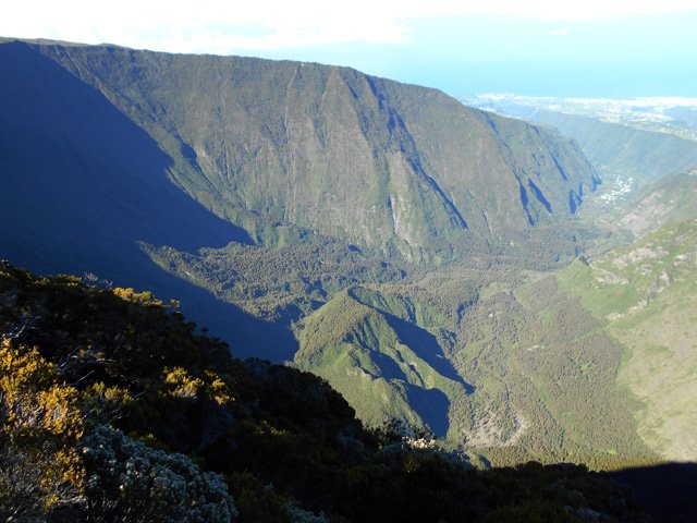 Le Rein de Grand Pays au milieu de la Forêt Domaniale de la Rivière Langevin