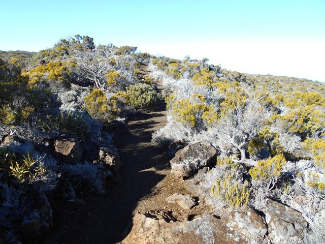 Très peu de difficultés sur le sentier qui chemine entre les branles verts